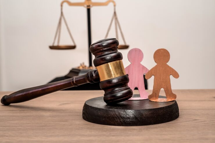 What Is Guardianship